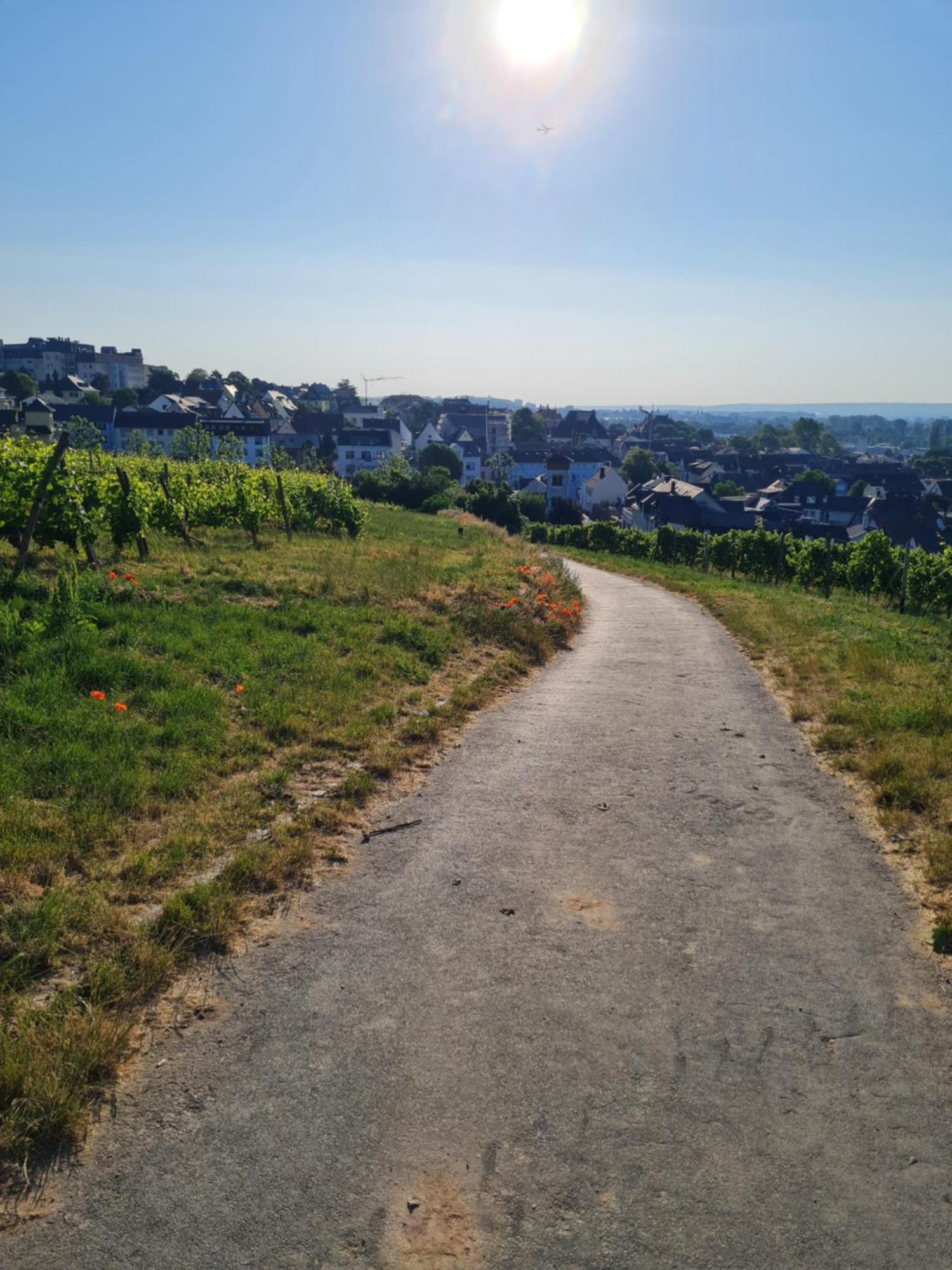 Ferienwohnungen Am Markt Rüdesheim am Rhein Esterno foto