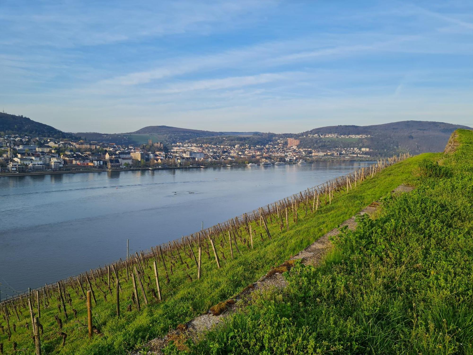 Ferienwohnungen Am Markt Rüdesheim am Rhein Esterno foto